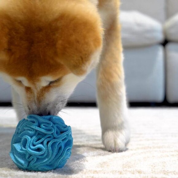 Puppy and Small Breed Snuffle Interactive Foraging Dog Puzzle Ball Toy Blue - Picture 5 of 9